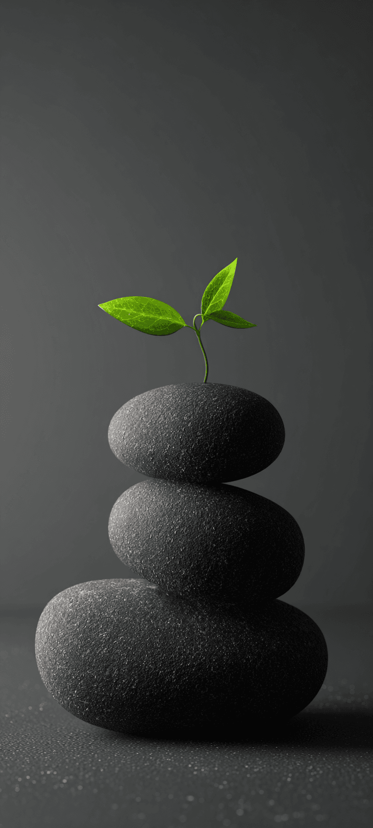 Balanced Dark Stones with Green Sprout Wallpaper – Zen Minimalist Aesthetic