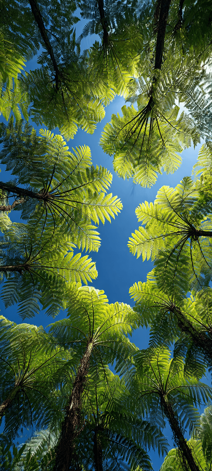 Looking Up Through Giant Fern Canopy — Lush Green Nature Wallpaper for Your Phone