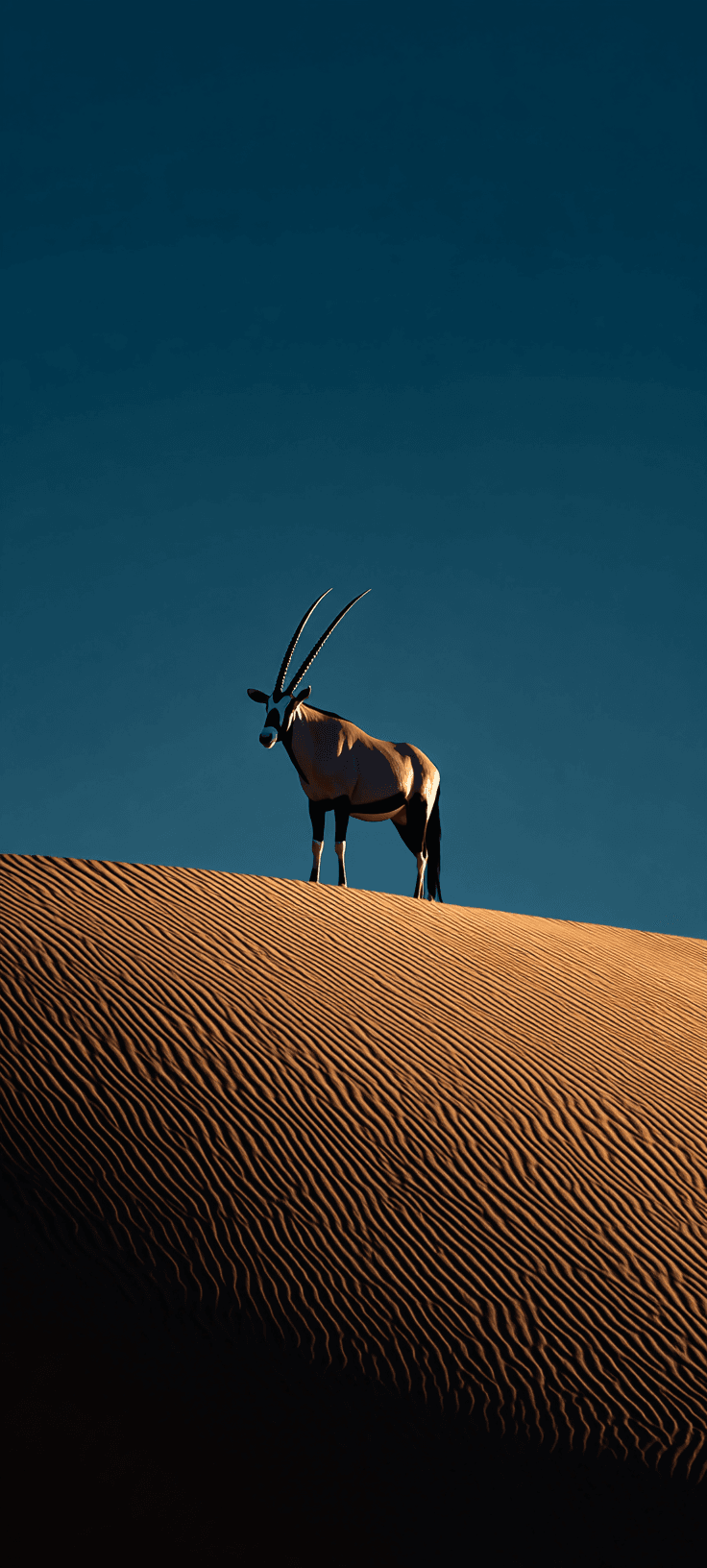 A side profile of a majestic Arabian Oryx with long straight horns standing on a rippled sand dune under a vast, clear blue sky.