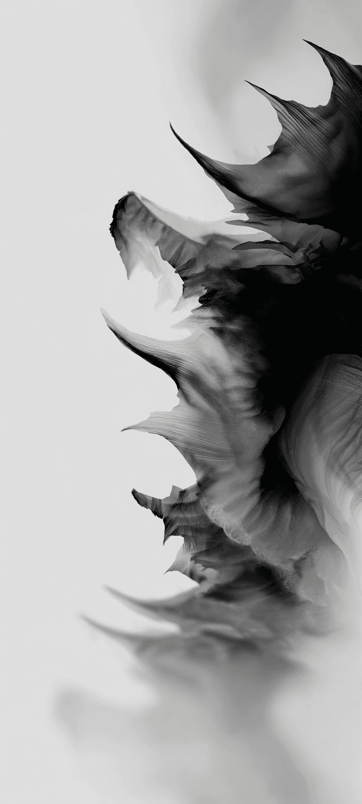 Minimalist black and white abstract art with fluid ink swirls and dragon-like smoke forms, elegant dark aesthetic 4K mobile wallpaper