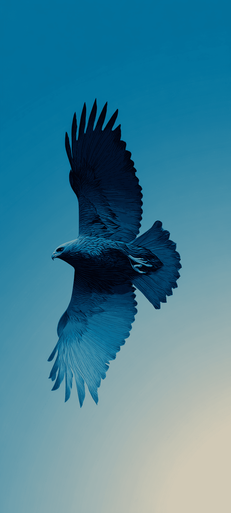 A majestic bird flying against a serene blue sky in a stunning nature photograph.